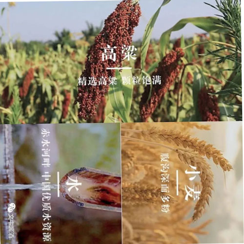 醬酒行業(yè)大揭秘！