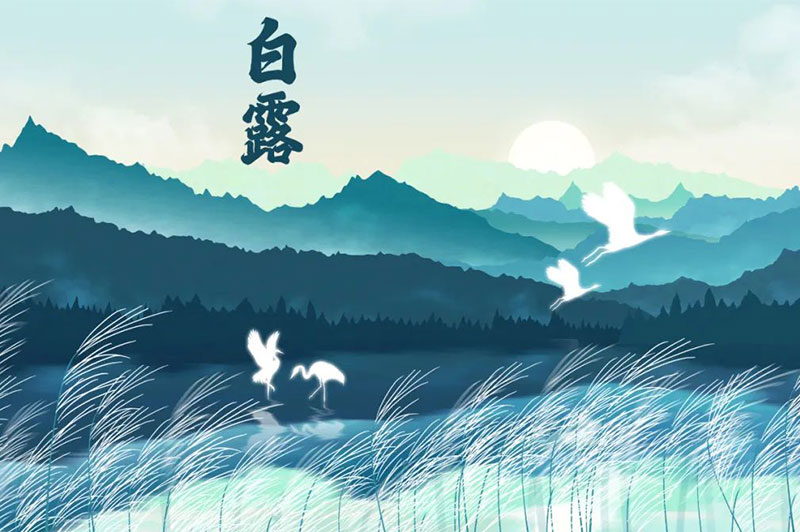 【白露節(jié)氣】露從今夜白，秋風至此涼